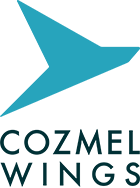 COZMEL WINGS